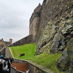 Gallery Photo 26