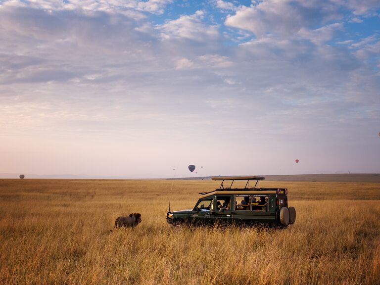 Masai Mara National Reserve safari vehicle faces a lion with hot air balloons off to the distance