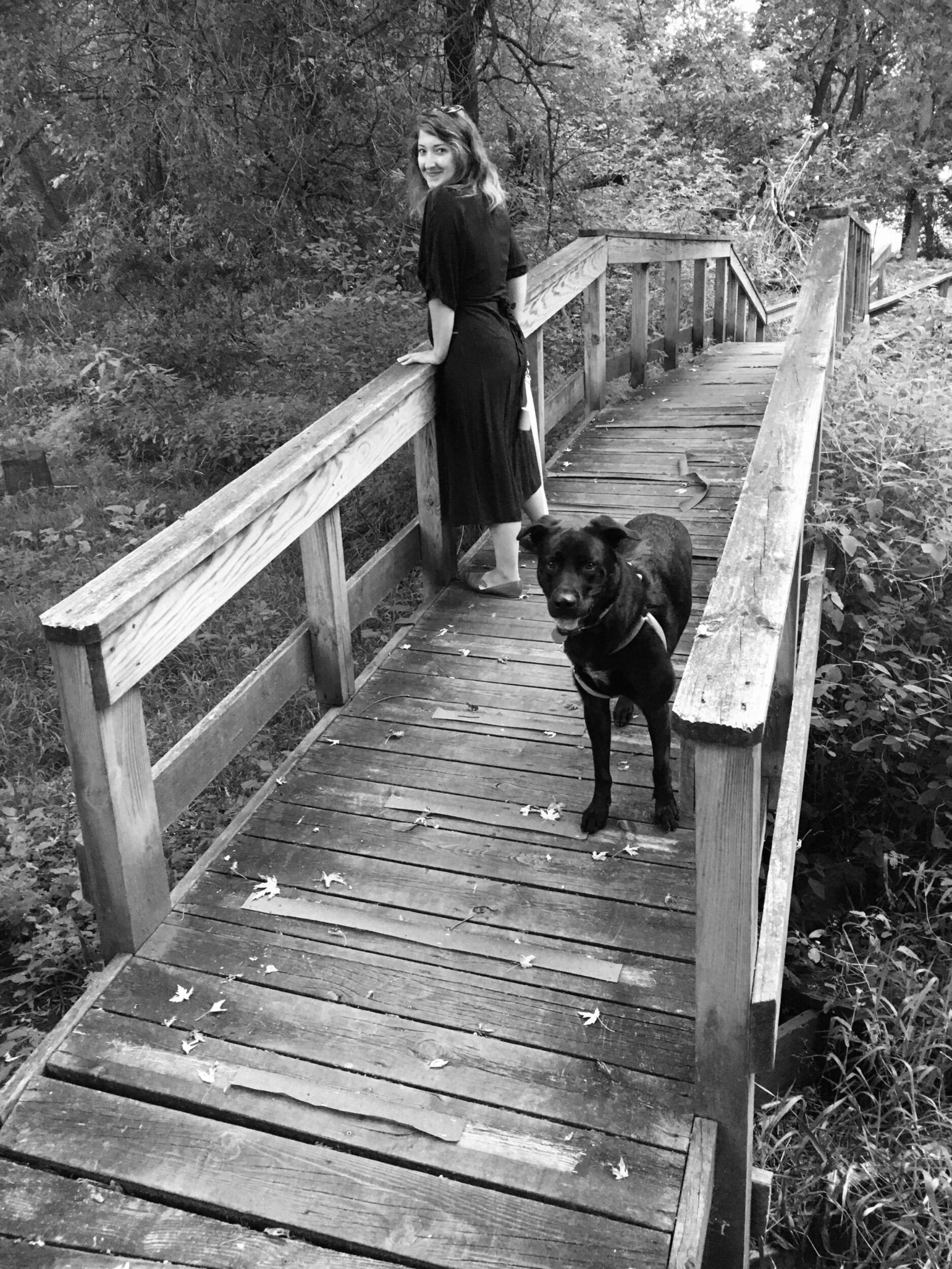 Neighborhood Walk, Northville