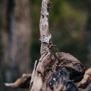 Gallery Photo 10