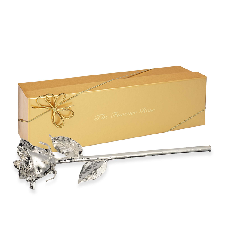 The Forever Rose silver preserved rose