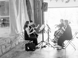 Forte - String Quartet - Kansas City, MO - Hero Gallery 3