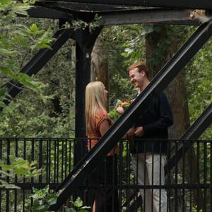 Gallery Photo 7