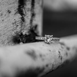 Gallery Photo 35