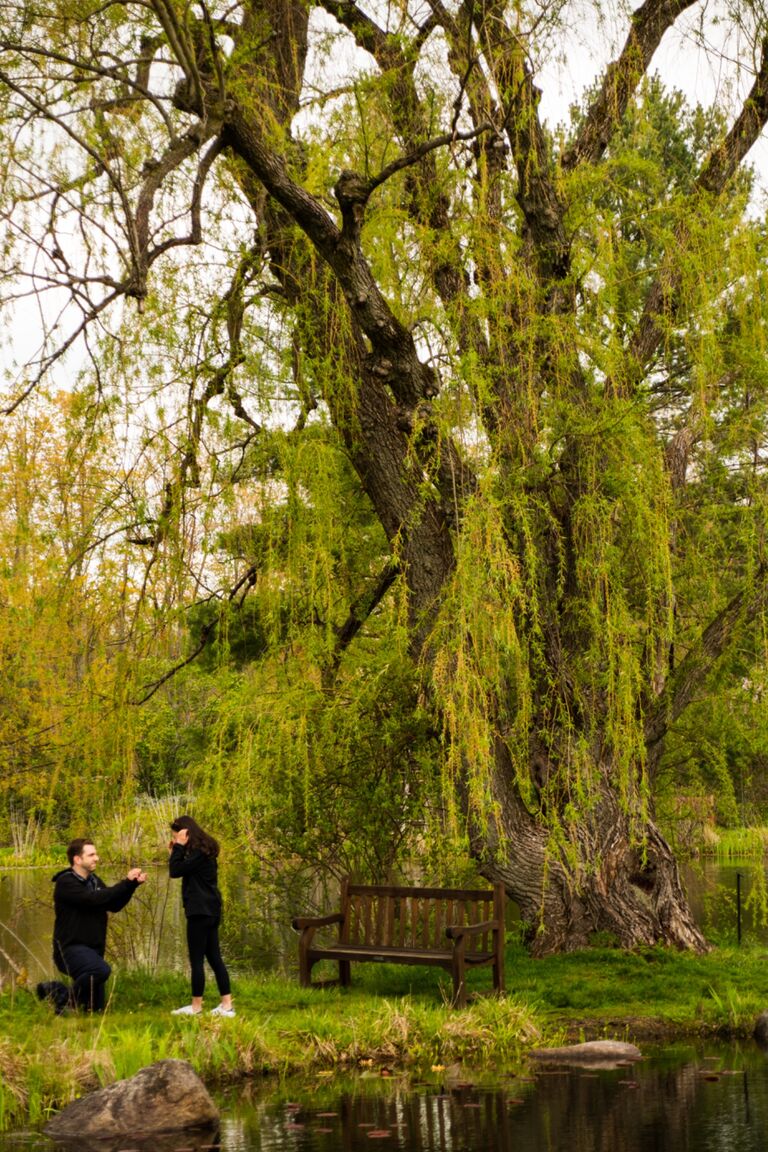 Our engagement. I planned to propose to Christine under this willow tree at the Holden Arboretum. We had so many happy memories here and I wanted to be able to go back to this spot in years to come. The forecast was a little rainy that day so I was extremely nervous about our plans. Luckily everything worked out. We later had the joy of celebrating with family and friends at our favorite downtown restaurant, Cordelia with a surprise party.