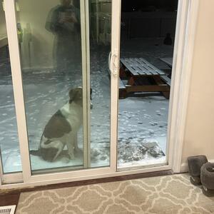 Gallery Photo 125
