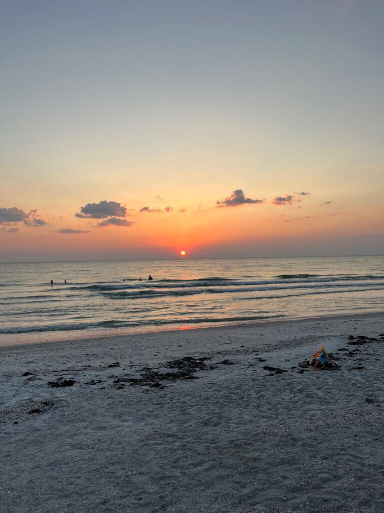 We decided to move to St. Pete, took some time to settle in, and then began the wedding planning!