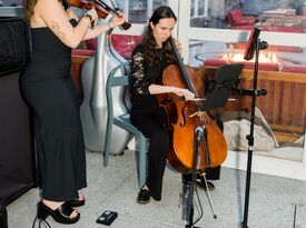 Katelyn Mae Music - Violinist - Worcester, MA - Hero Gallery 1
