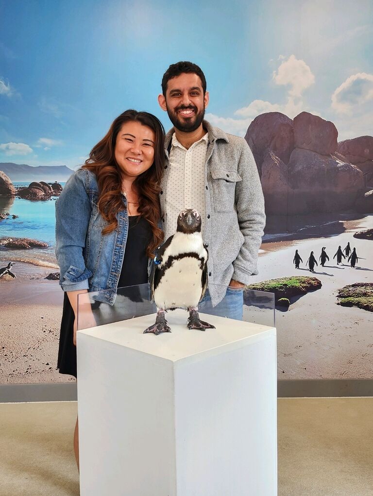 Simon the penguin posing for us, and outclassing us with cuteness during Zach's birthday celebration