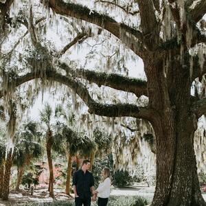 Gallery Photo 35
