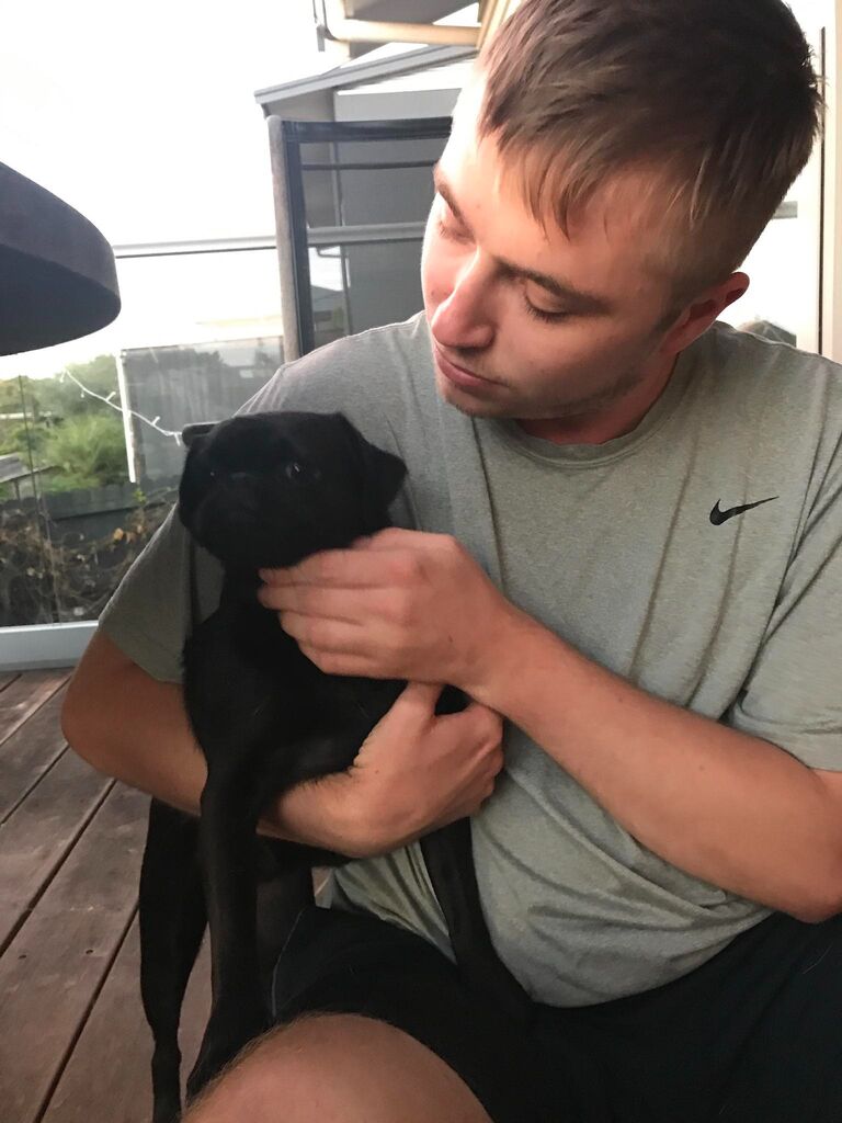 Our brother in law Mala introduces us to our first pug/griffon- we were instantly obsessed!