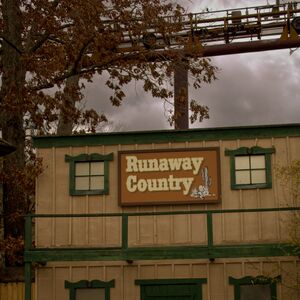 Gallery Photo 44