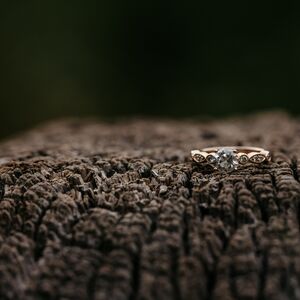 Gallery Photo 14