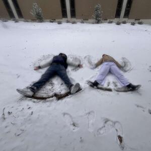 Gallery Photo 8