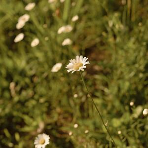 Gallery Photo 7