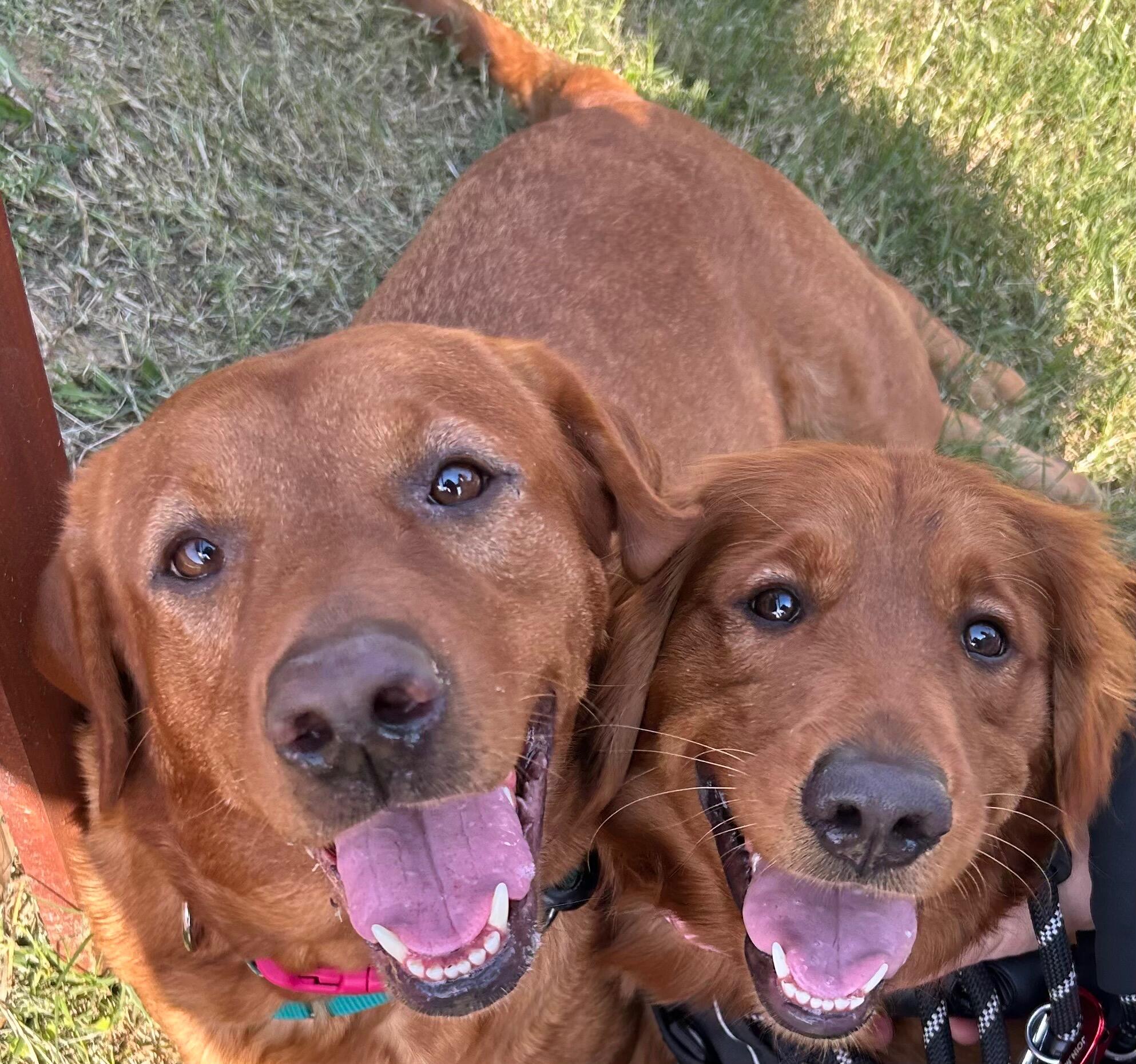  Sadie & Charlie joined the Crew 