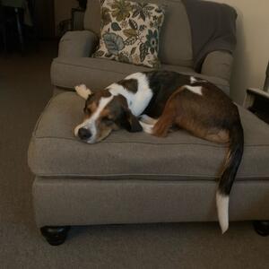 Gallery Photo 72