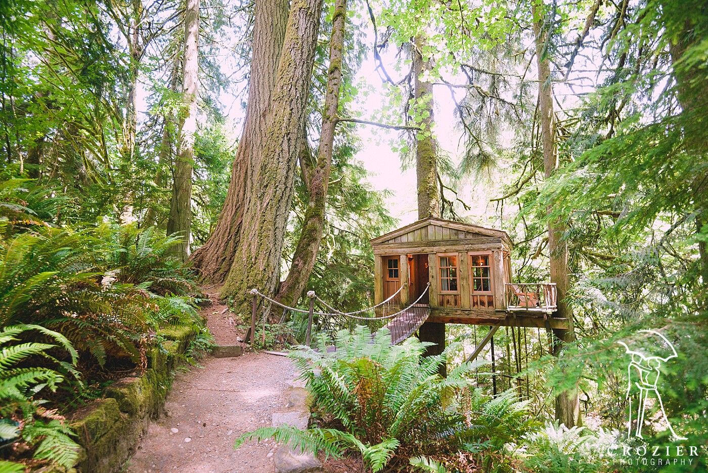 Treehouse Point | Reception Venues - Issaquah, WA