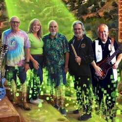 The Lime Squeezers, profile image