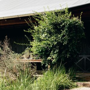 Gallery Photo 48