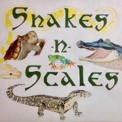 Snakes-n-Scales, LLC, profile image