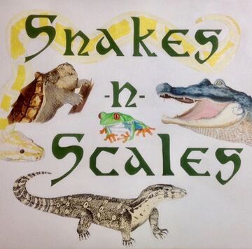 Snakes-n-Scales, LLC - Animal For A Party - Randolph, NJ - Hero Main