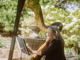 Beth Paré Sherwood, Harpist - Harpist - South Bend, IN - Hero Gallery 1