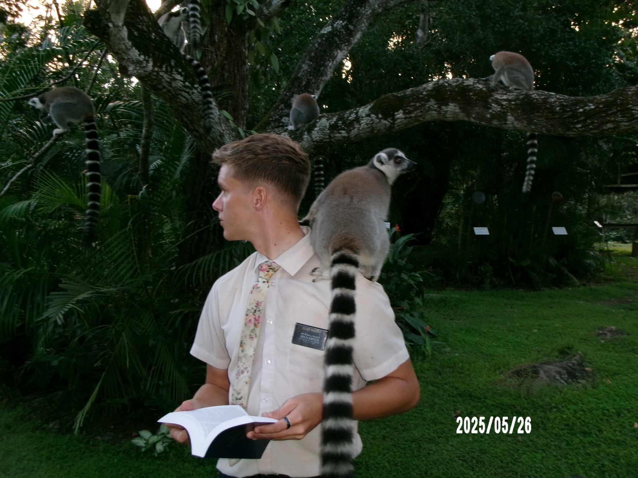 Reuben meets king Julian