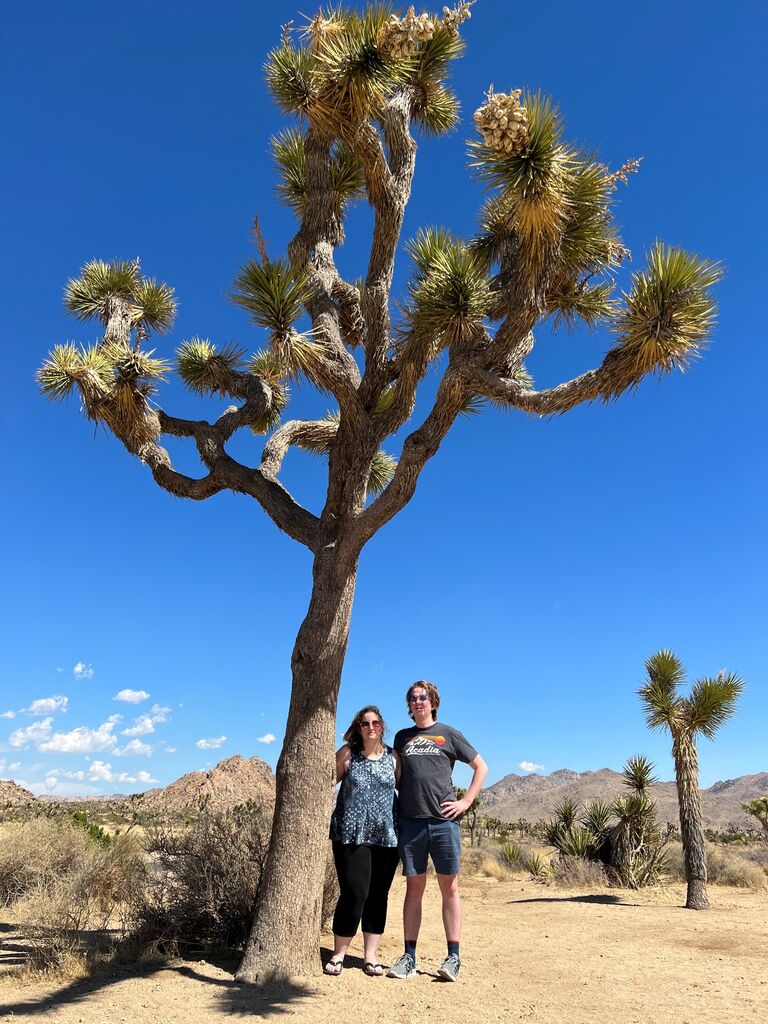 Visiting Joshua Tree
