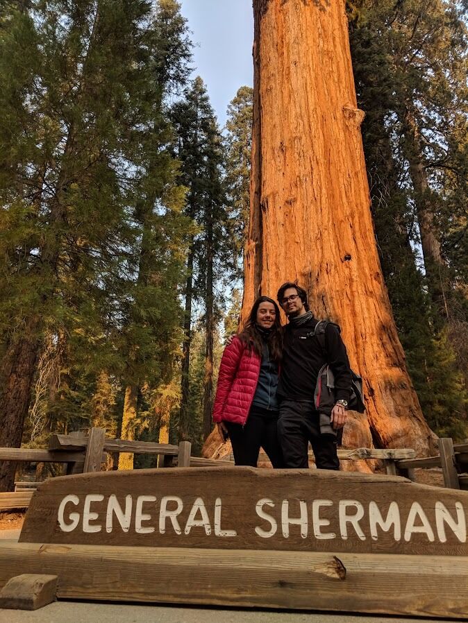 Sequoia National Park, California, USA