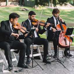 Highline String Quartet, profile image