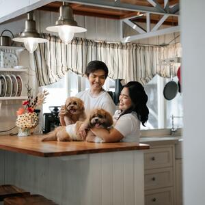 Gallery Photo 13