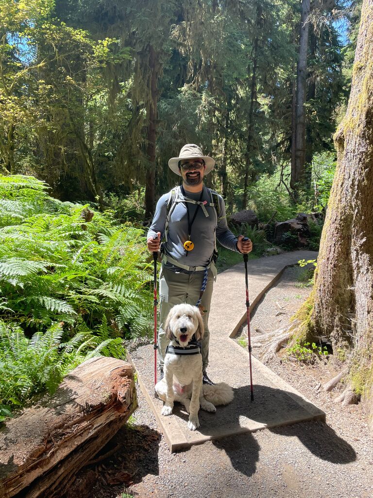 Olympic National Park ~ Hoh Rainforest Camping