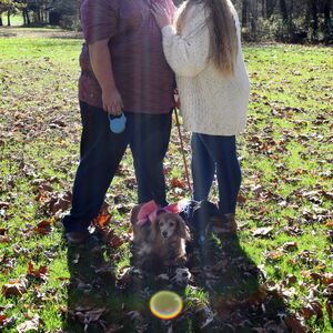 Gallery Photo 22