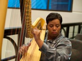Shelley Greene, Harpist - Classical Harpist - Richmond, VA - Hero Gallery 4