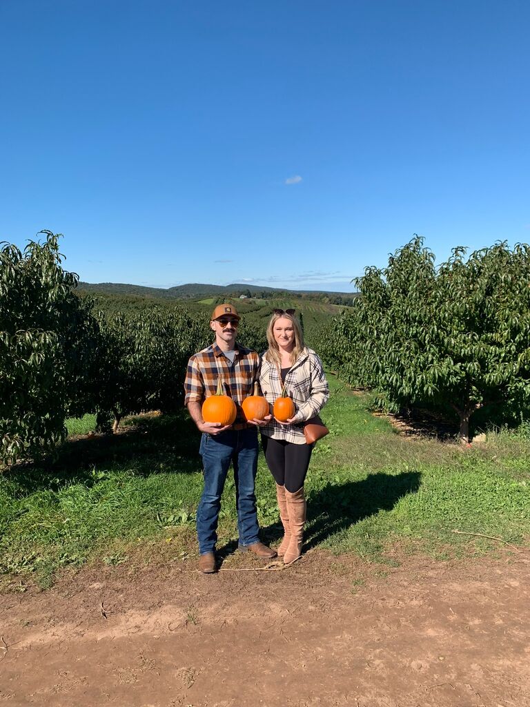 Pumpkin Picking