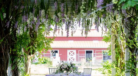 Enjoying the music on the deck - Picture of Wisteria Farm and