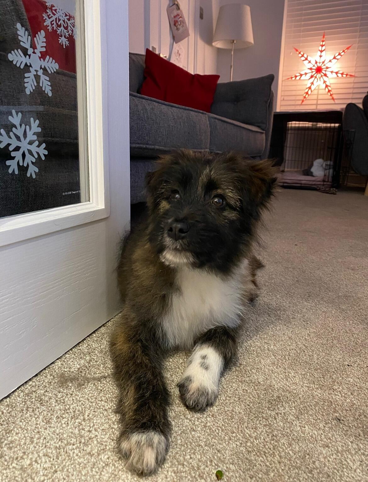 Then our lives changed forever...