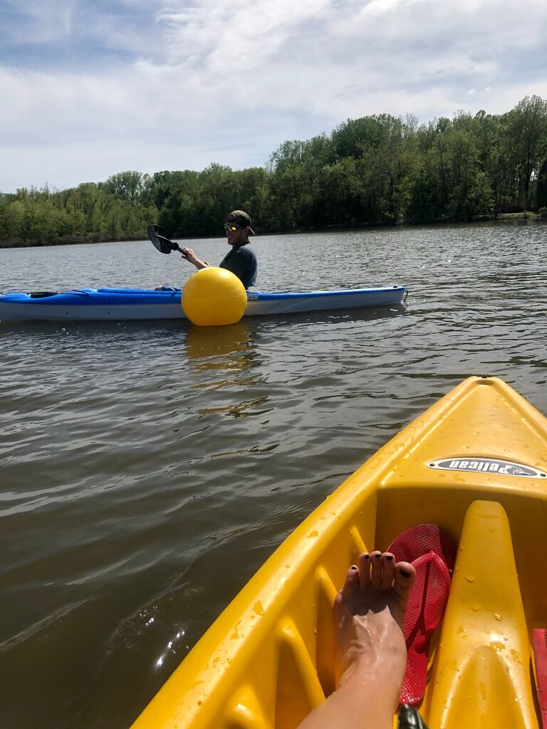 The infamous yellow ball