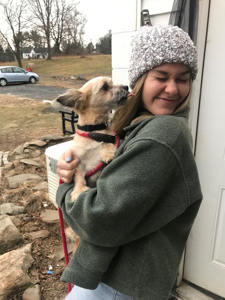 Adopt Mr. Yoda Bear!!!