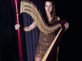 Harp and Soul, ATLANTA-Nichole Rohrbach - Harpist - Atlanta, GA - Hero Gallery 1