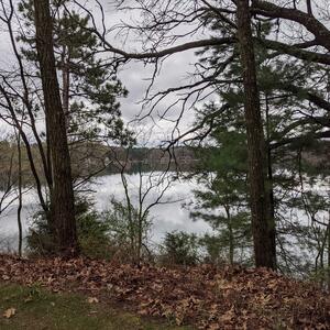 Gallery Photo 29