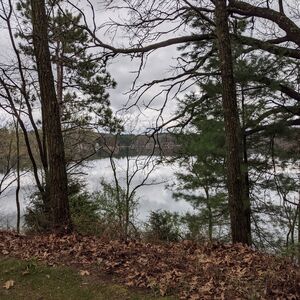 Gallery Photo 29