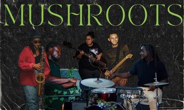 Mushroots.live - R&B Band - Fort Lauderdale, FL - Hero Main