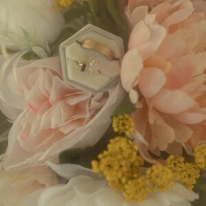 Gallery Photo 7