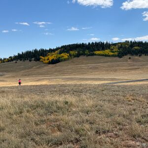 Gallery Photo 61