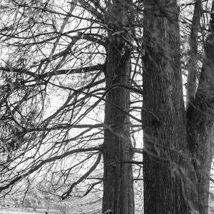 Gallery Photo 367