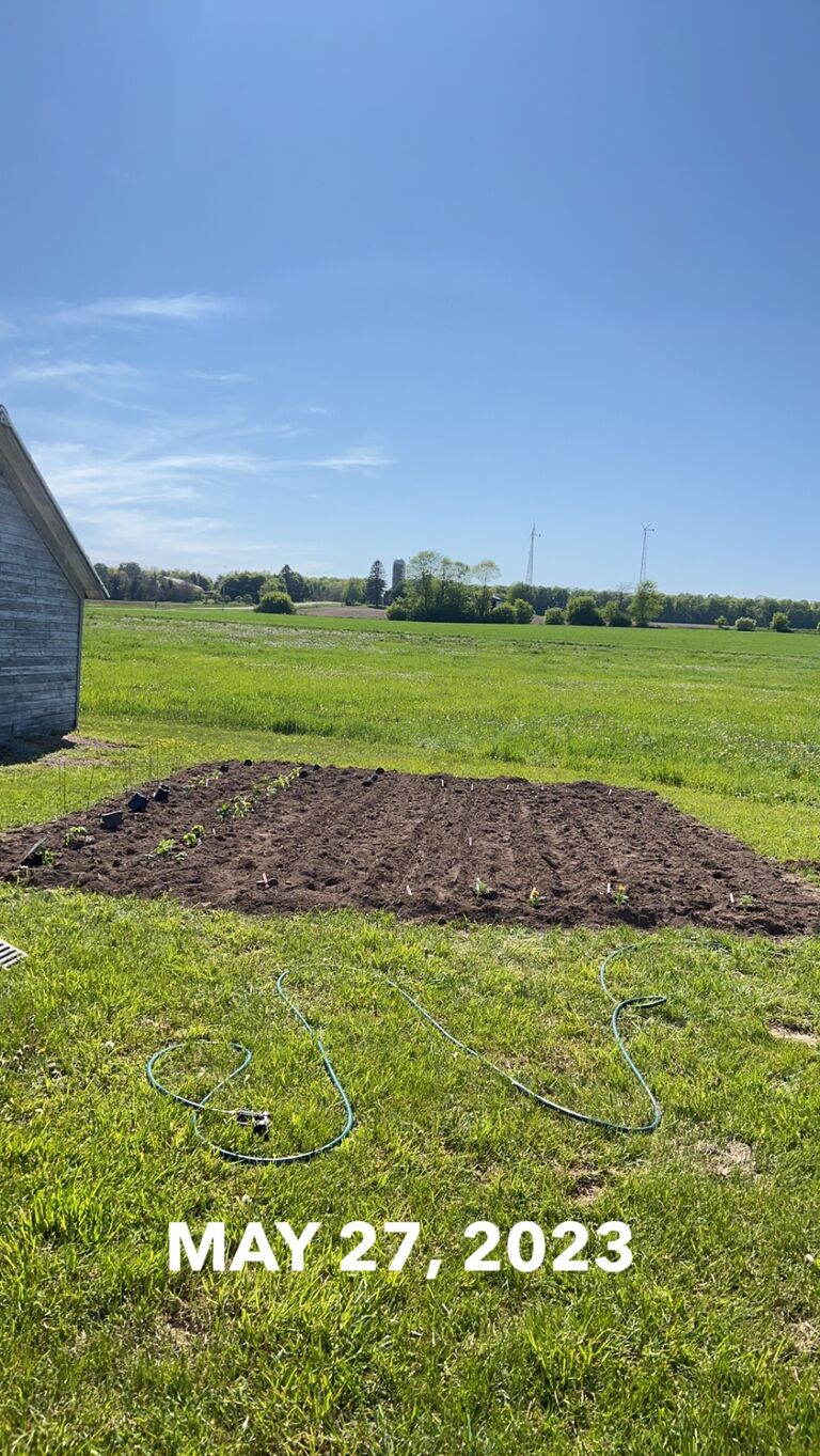 Our first garden