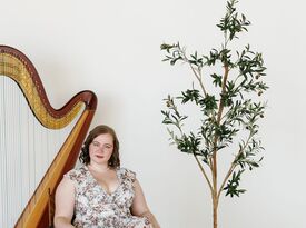 Melody Stein Harpist - Harpist - Miami, FL - Hero Gallery 2