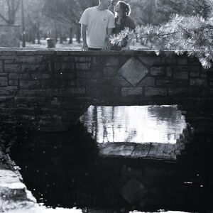 Gallery Photo 115